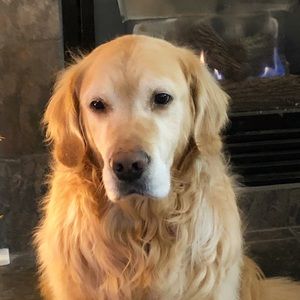 Meet your Posher, Rebeca